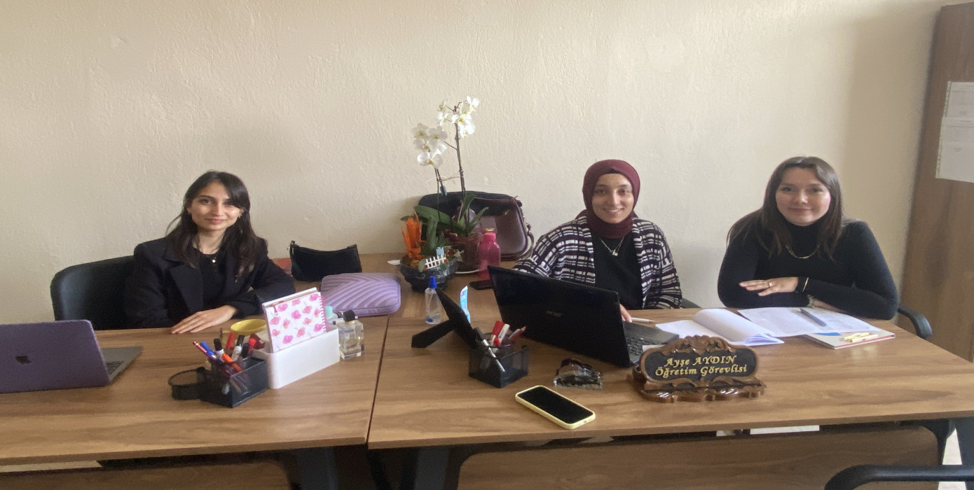 Tele-Sağlık Programı ÇAP Toplantısı Kararı