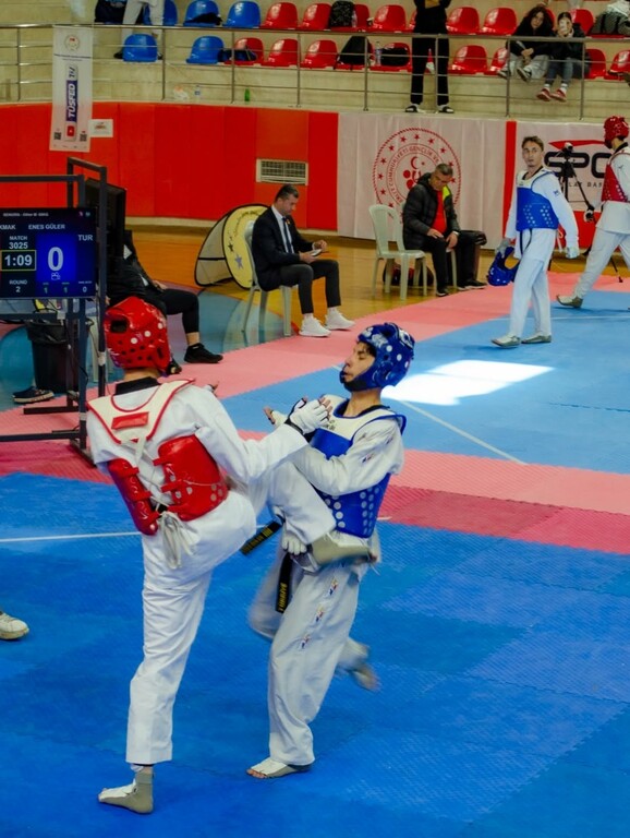 Ünilig Taekwondo Türkiye Şampiyonası - 4
