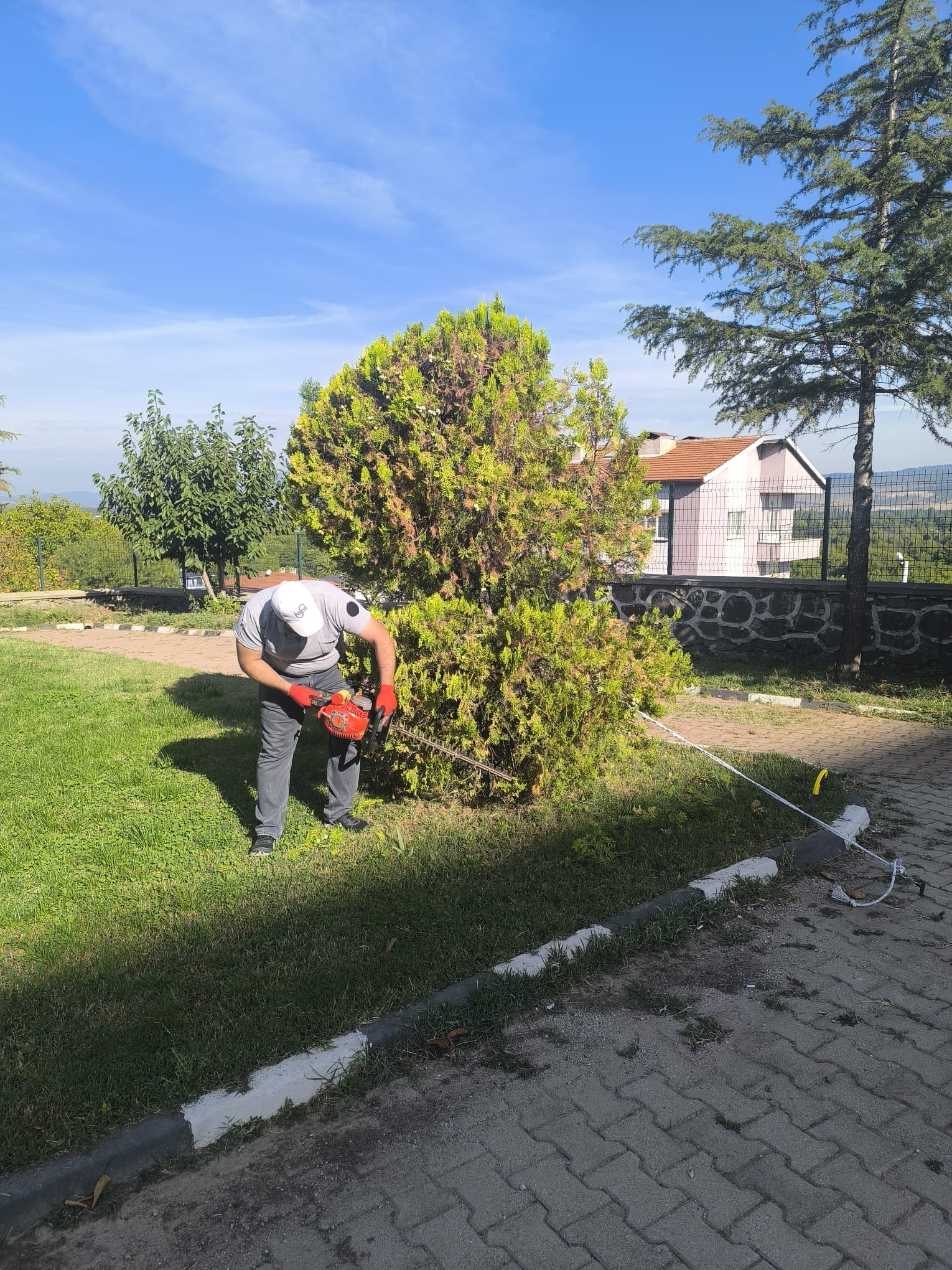 2026-2027 Eğitim-Öğretim Yılı Öncesi Meslek Yüksekokulumuzda Temizlik ve Düzenleme Çalışmaları Gerçekleştirildi - 6
