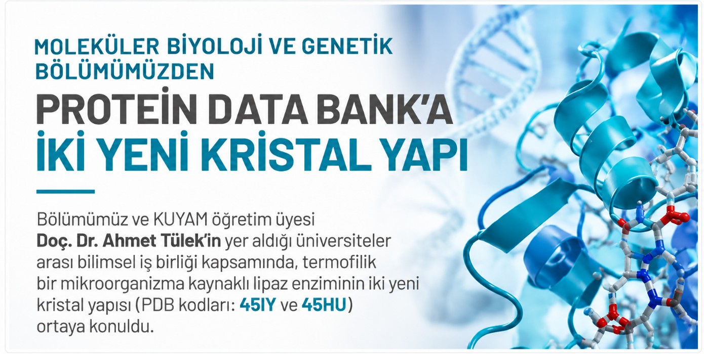 Moleküler Biyoloji ve Genetik Bölümümüzden Protein Data Bank’a İki Yeni Kristal Yapı